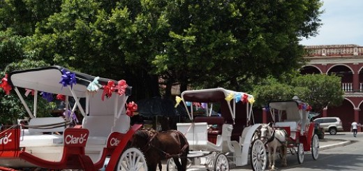 Horse carriage ride through Granada, Nicaragua